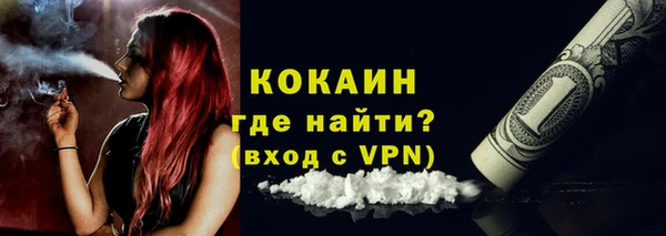 PSILOCYBIN Покров