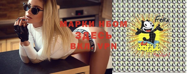 крисы Покачи
