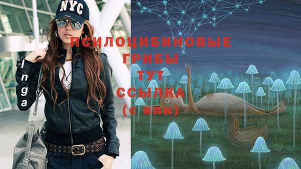 дурь Абдулино