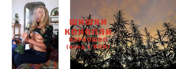 крисы Покачи