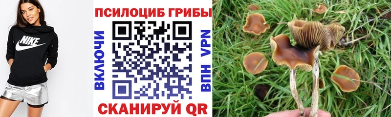 Псилоцибиновые грибы ЛСД  Пудож 